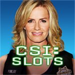 csi spiel csi spiel