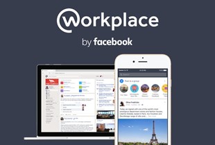 Applying Workplace (Facebook) to effective online teaching