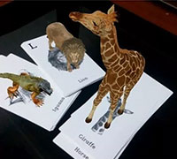 How to use Animal 4D + create 4D animals moving on your phone