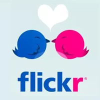 How to download all photos from Flickr to your computer