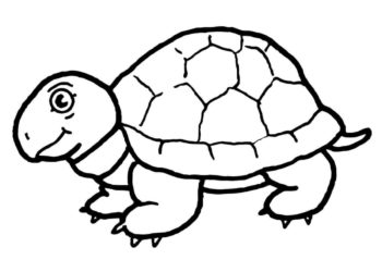 Collection of the most searched cute turtle coloring pictures