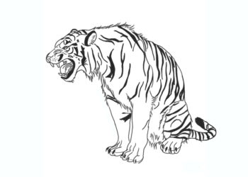 Samenvatting van tijger kleurplaten die aan kinderen zijn gegeven
