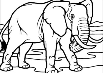 Verzameling van grappige olifant kleurplaten voor kinderen die van dieren houden