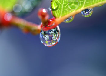 Güzel duvar kağıtları olarak dewdrops hakkında en iyi 50 resim