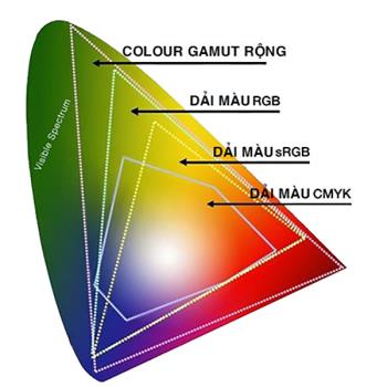 What is the Wide Color Gamut technology on TCL TVs?