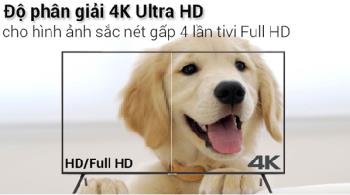 Quelle entreprise devrait acheter un téléviseur 4K parmi les meilleurs - durables - les plus beaux?