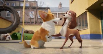 บทวิจารณ์ภาพยนตร์ Corgi: The Royal Dogs