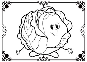 A collection of picture of cabbage coloring for children who practice painting every day