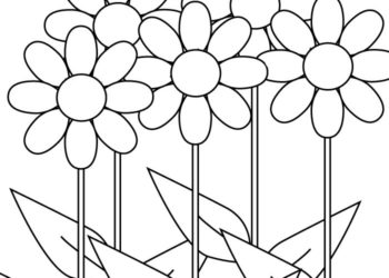 Collection of coloring garden flowers of your garden flowers