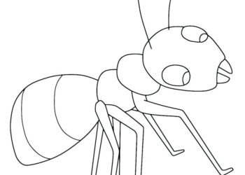 Raccolta di immagini di coloranti formiche laboriose per bambini
