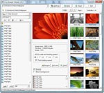 Ccy Image Viewer