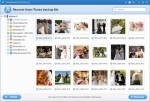 iPubsoft iTunes Data Recovery 2.1.1 - Datenwiederherstellungstool für iTunes iPubsoft iTunes Data Recovery