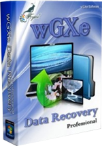 wGXe Data Recovery Professional