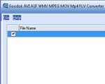 AVI MPEG WMV ASF MOV GoodOk MP4 FLV Converter