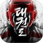 Global Taekwondo Tournament Game for iOS