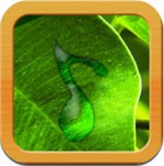 Natural Musical Massage for iOS