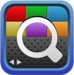 Flex Search for iOS