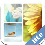 Easy Collage Lite for iOS