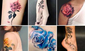 玫瑰纹身：含义和200张照片可以激发您的灵感