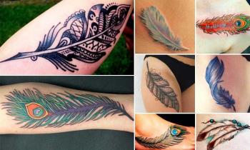 羽毛纹身：意义和150张照片可以激发您的灵感