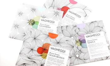 Vagheggi Flowers 뷰티 페이스 마스크 : 리뷰 및 의견