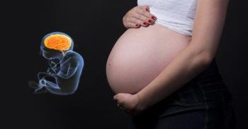 Inteligentna ciąża - szczegółowy przewodnik po etapach rozwoju mózgu płodu w środkowym 3 miesiącu życia