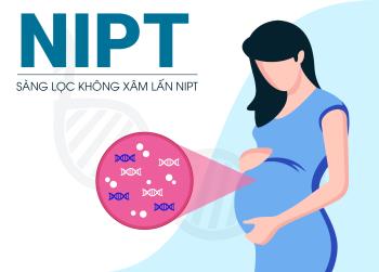 Prix ​​des tests de dépistage prénatal NIPT dans certains établissements médicaux réputés
