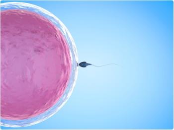 체외 수정 (IVF)-불임 부부가 알아야 할 사항