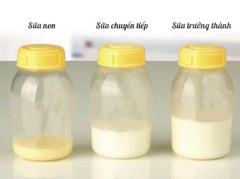 Gelbe Muttermilch ist gut oder nicht, wie macht man sie zur nahrhaftesten und reichlichsten Milch?
