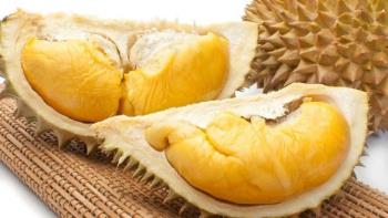 Una neomamma può mangiare il durian?