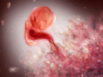 If the fetus is not in the uterus, can the test be up?