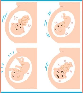 胎児が子宮の中を這うのはどれくらい良いですか？