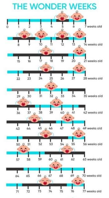 De meest nauwkeurige Wonder Weeks-tabel voor referentiemoeders