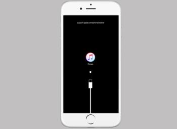 วิธีแก้ไข iPhone ติด iTunes ปรากฏข้อผิดพลาด support.apple.com