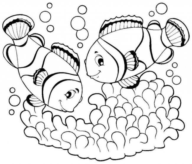 Summary of beautiful coloring pictures of fish