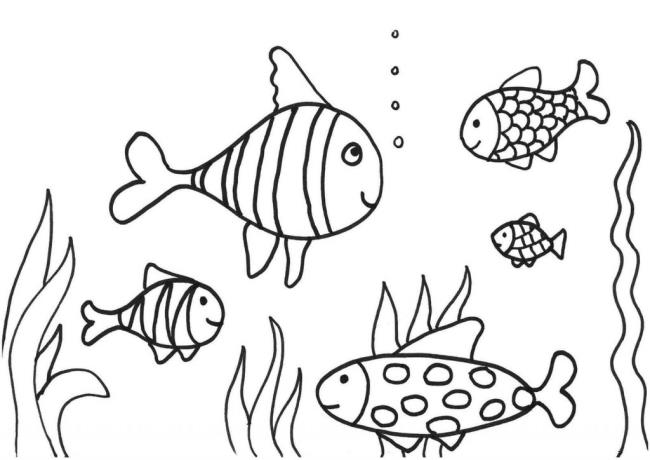 Zusammenfassung der schönen Malvorlagen von Fischen