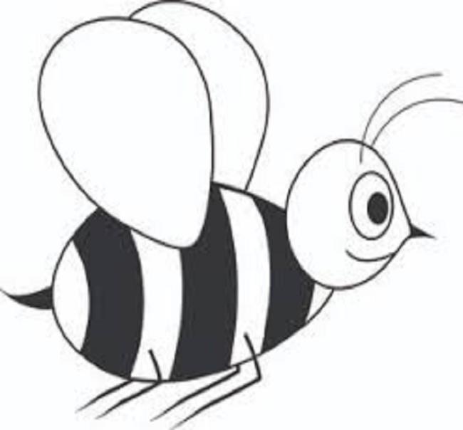 Collection of beautiful bee coloring pictures