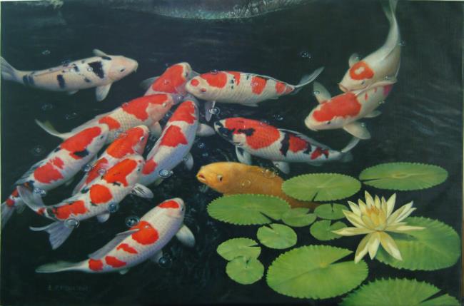 Collection des plus belles photos de poissons Koi