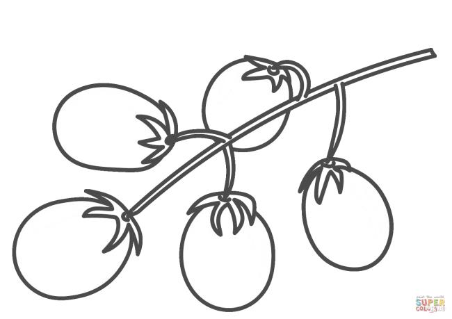 Резюме картинок нарисованных помидоров поможет детям лучше определить