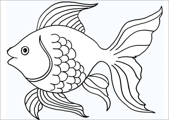 خلاصه تصاویر رنگ آمیزی زیبا از ماهی