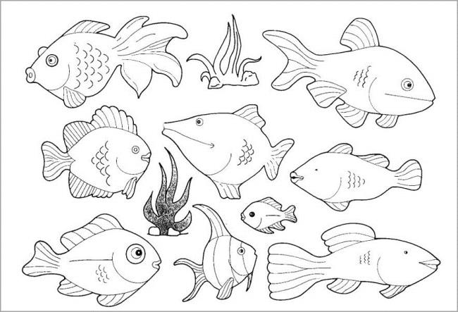 Rezumatul imaginilor de colorat frumoase ale peștilor