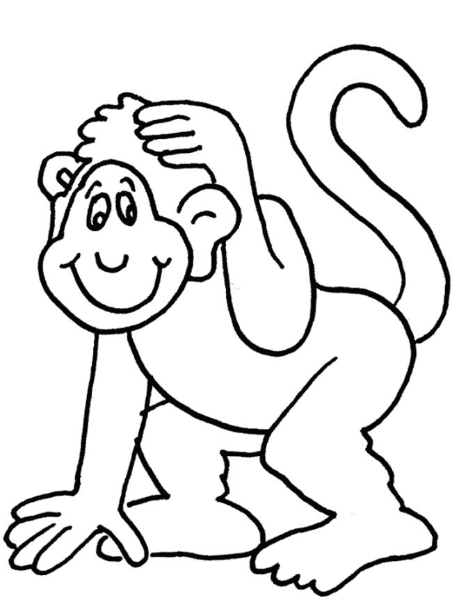 Colección de los más bellos dibujos para colorear de monos