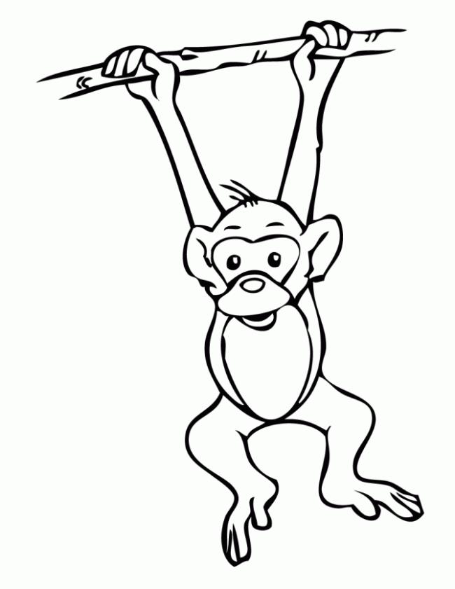 Collection of the most beautiful monkey coloring pictures