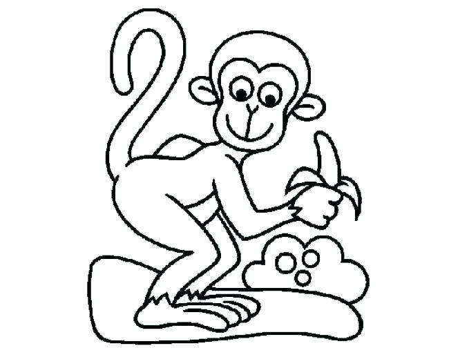 Collection of the most beautiful monkey coloring pictures