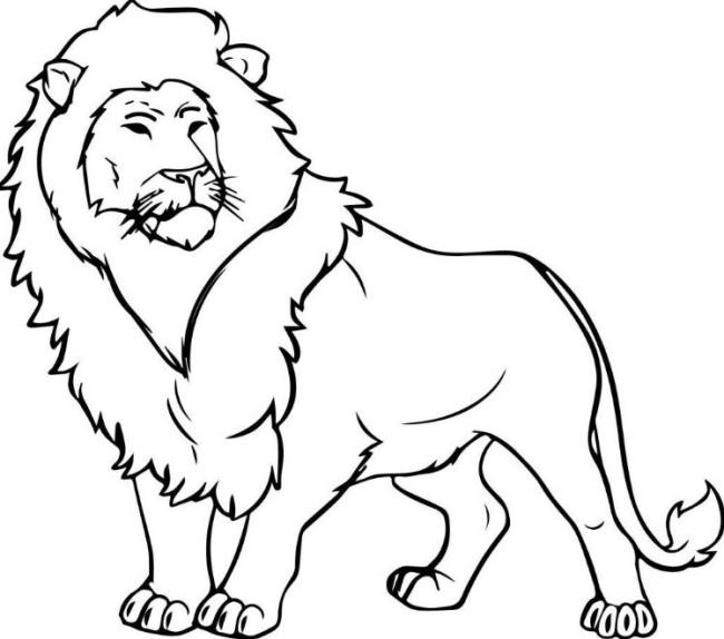Résumé de belles images à colorier d'un lion