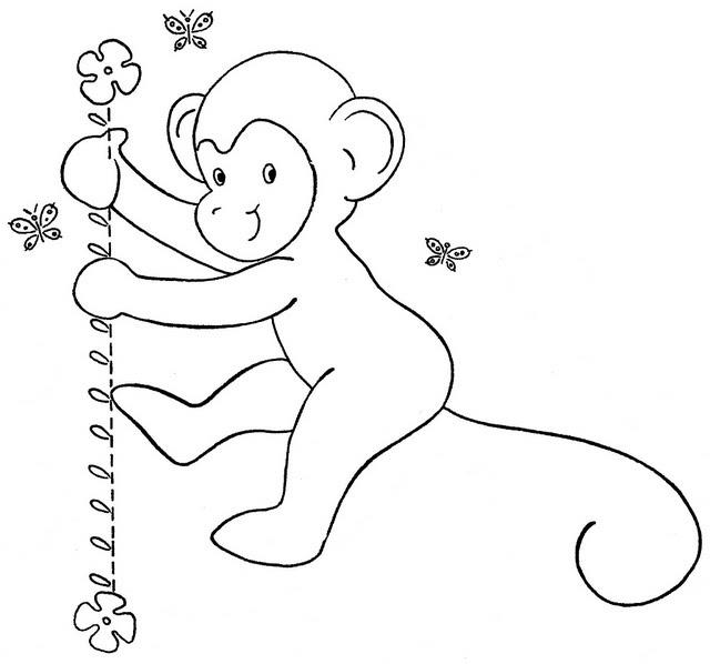 Coleção das mais belas imagens para colorir de macacos