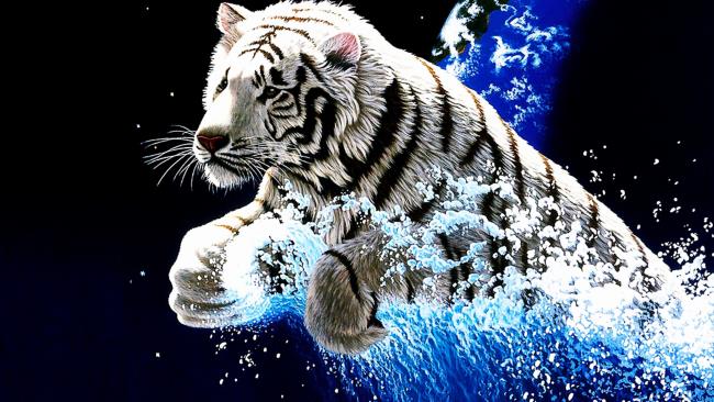 Koleksi gambar harimau paling indah