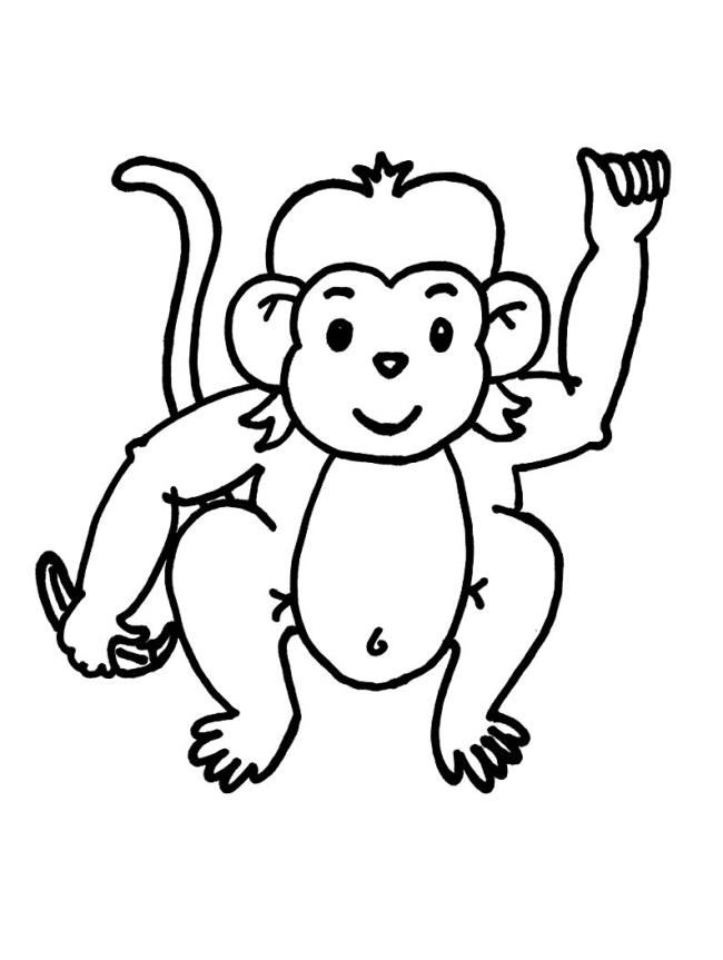 Koleksi gambar mewarnai monyet paling indah