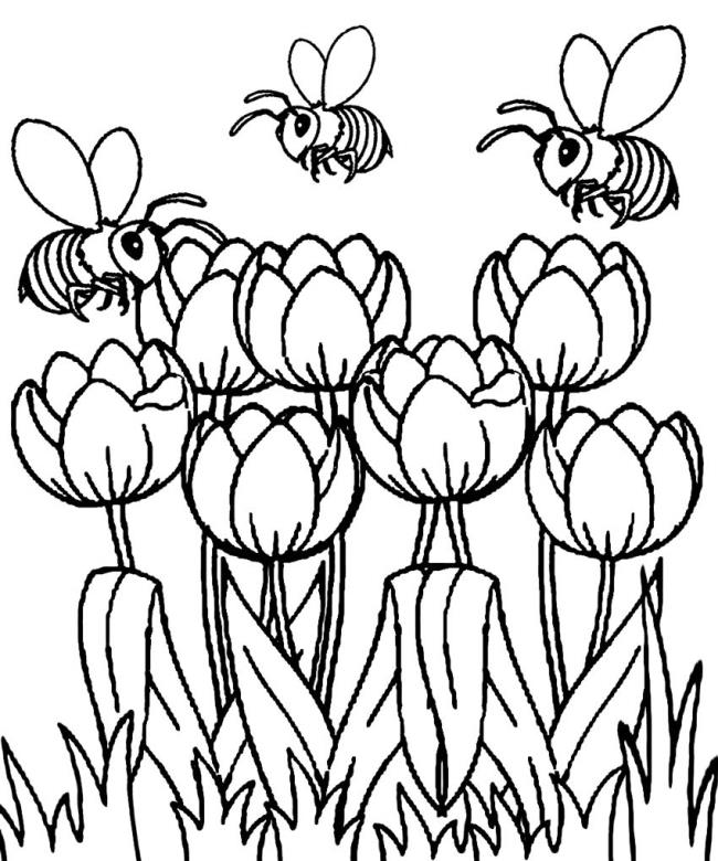 Collection of the most beautiful garden coloring pictures for kids