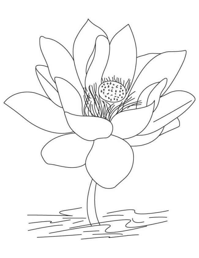 Collection of the most beautiful garden coloring pictures for kids